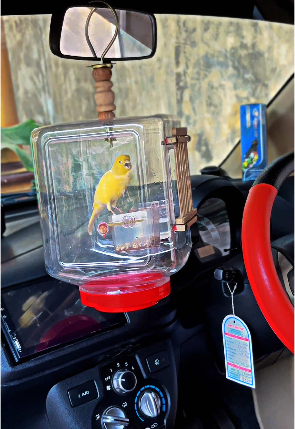 Special edition bird cage 😁 Gacor dor pakai Air Sakti by @Umi kasum official #kenari#kenarimaniaindonesia#kenarigacor#kicaumania#kicaumaniaindonesia#kicaumanianusantara#hobiburung#bird  #CapCut#fyp#tiktok#viral 