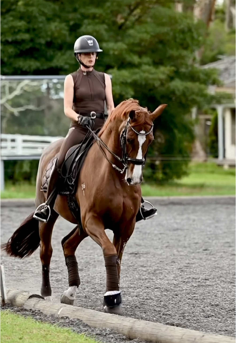 My favourite animal 🤩 #SabiEquestrian #equestrianapparel #equestrianwear #equestriangirls #equestrians #horselovers #horseriders #horsegirls #rideincomfort #rideinstyle #equestrianstyle #breeches