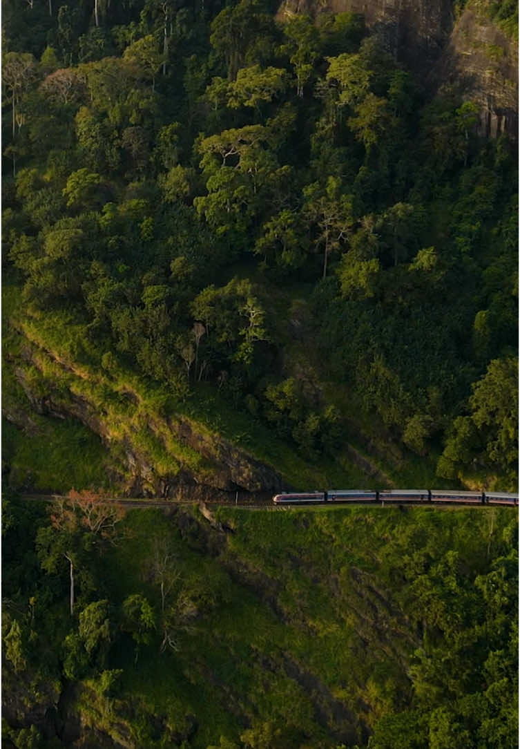 කඩුගන්නවෙන් පල්ලම් බහින ඇල්ල ඔඩිසිය  #KandyEllaTrainRide #ScenicTrainJourney #SriLankaTrainTravel #HillCountryTrain #ExploreSriLanka #EllaAdventures #KandyToElla #TrainWithAView #SriLankaScenery #BucketListTravel #TravelSriLanka #IconicTrainRide #NatureViews #SriLankanHighlands #WondersOfSriLanka #ireshub #ireshme #ireshonline