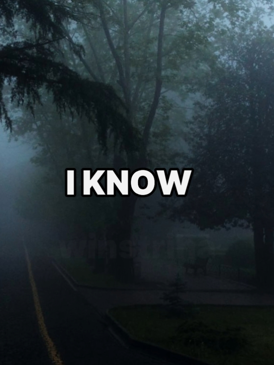 Irma - i know. #популярное #iknow #irma #кухня #know 