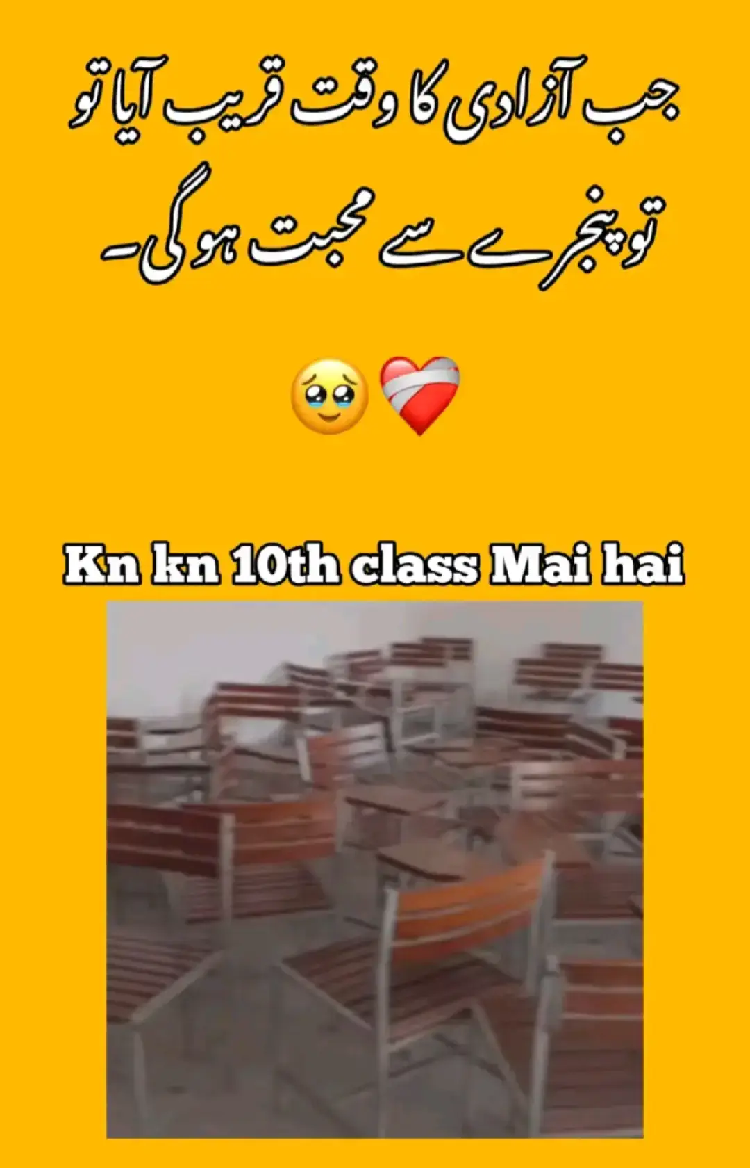 last days in class 10th😢😭 #peshawerpublicschool #foryou #ppsian☠ #viral #missyouallfriends @problem 🥹🥹 @khan Afridi @MK🚩TØXÎÇ @🏴‍☠️ D U R R A N I  💸 