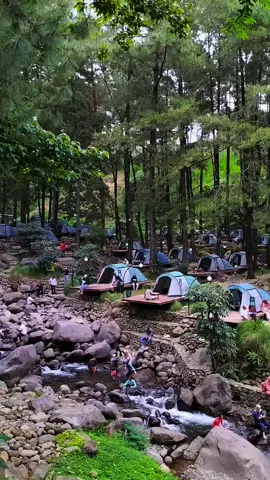 📌Minggu, 19 Januari 2025  #jolotundo #nganjuk #fyp #4u #glamping #nganjuk24jam #foryou 