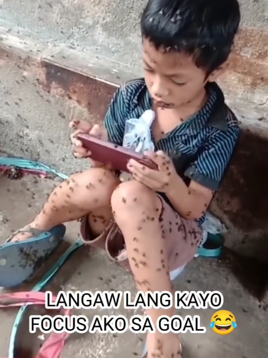 ไม่ลำคานจริงๆเหรอ😂😂🤣 #ขึ้นฟีด #ti̇ktok #fpyシ #แมลงวัน #แมลง 