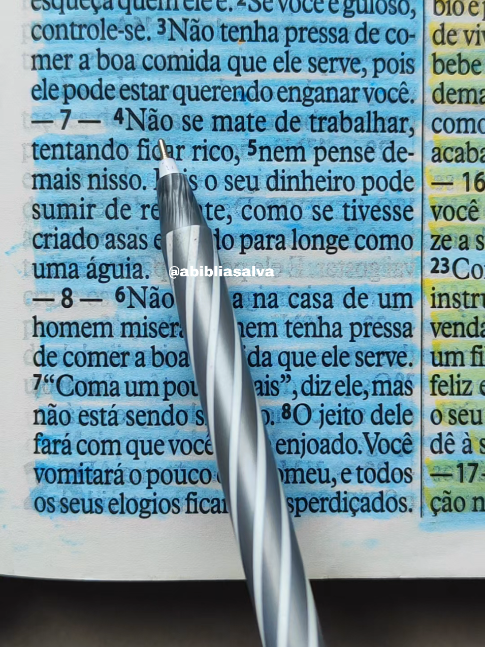 Provérbios 23:4-12 #biblia #Deus #versiculosblibicos #versiculododia #fycristao #palavradeDeus #lendoabiblia #cristão #cristoviveemmim #proverbios 