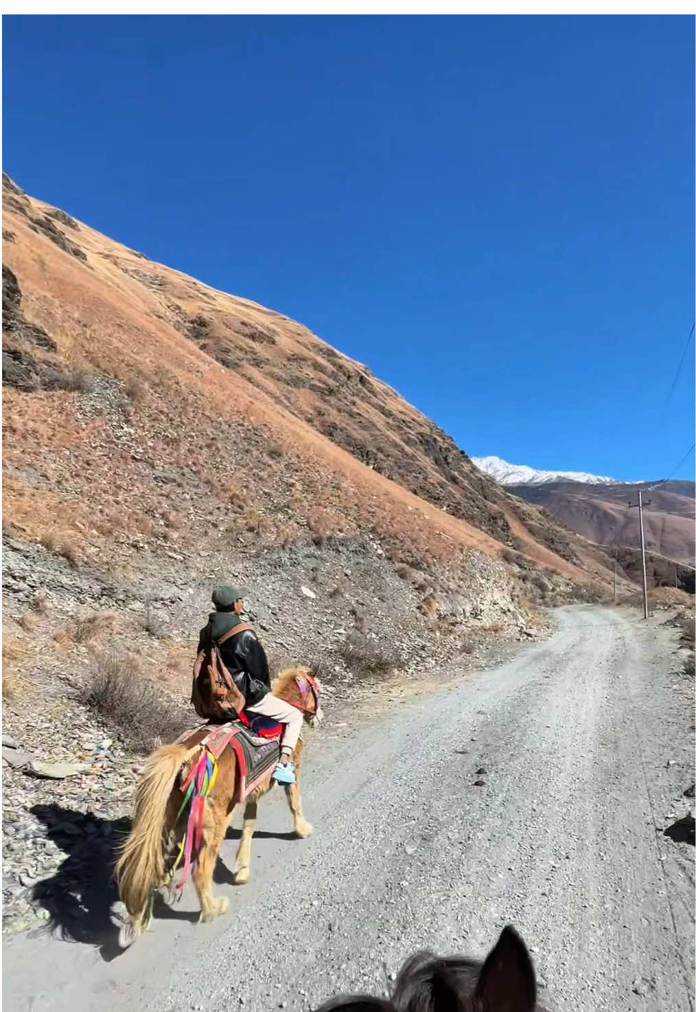 Horse Riding in Dolpa📍 . . . . . . . #exploredolpa #keepsupporting #horseriding #dolpa #fypシ #foryoupage #westnepal #dolpali_tourist #unexploreddolpa #motherland #ghumante #hiddenparadise #dolpa @Naren__10 @Asmit@123 #capcut 