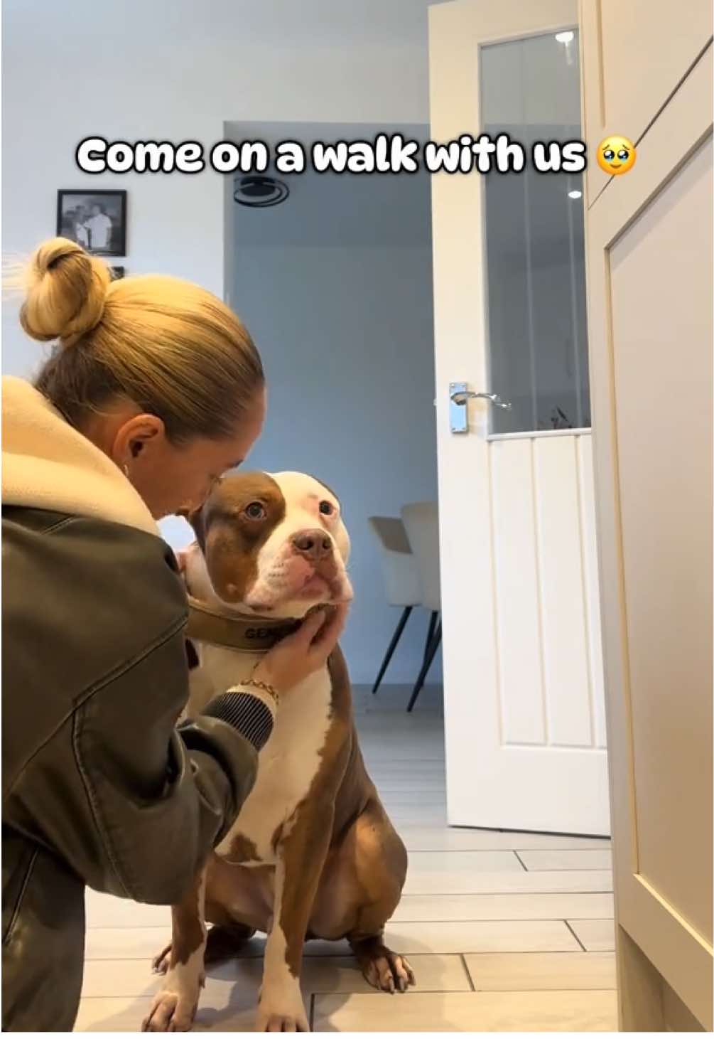 Not the walk we wanted this morning but unfortunately this is the reality of owning a dog in a world full of irresponsible dog owners. 🥺 Gentle Giant collar and I’m friendly lead @BullyBillowsLTD 🥹 #xlbullytiktok #foryoupage #dogmom #souldog #puppytok 