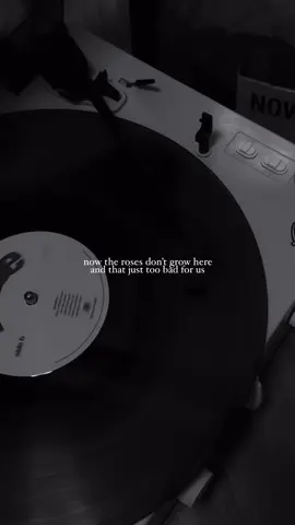 Just too bad for us 🥀#rose#vinyl#sadstory 