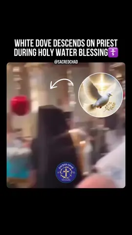 The holy spirit❓☦️A video is going viral showing a orthodox priest , what looks like blessing the holy water, when a white dove descends on him. #jesus #orthodox #church #miracle #interesting #viral 