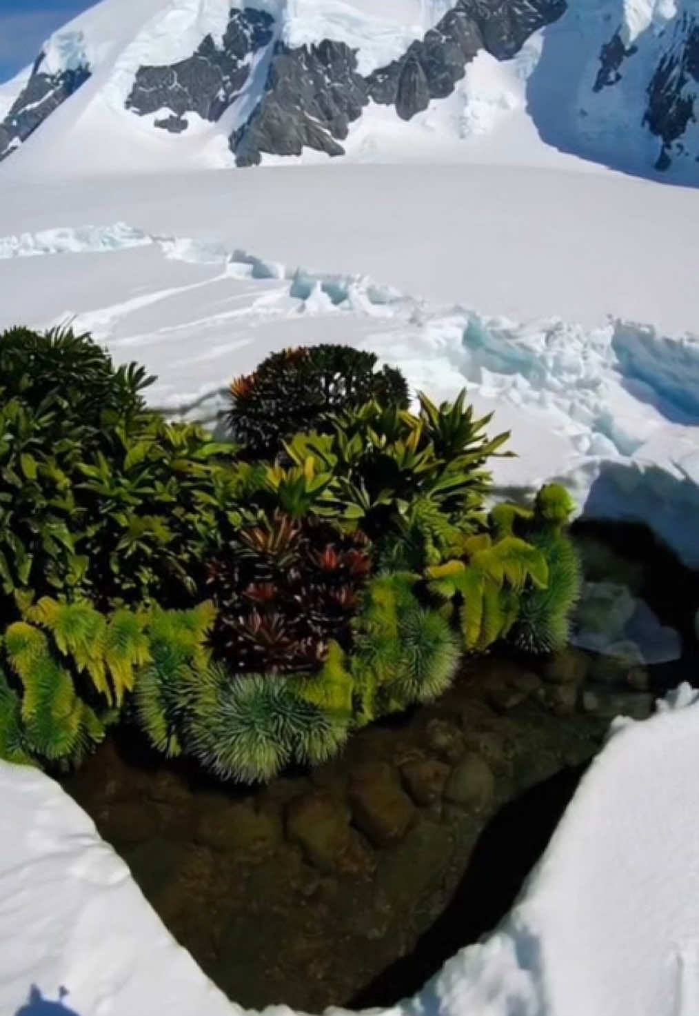 What is this? #mystery #spooky #antarctica #oasis 