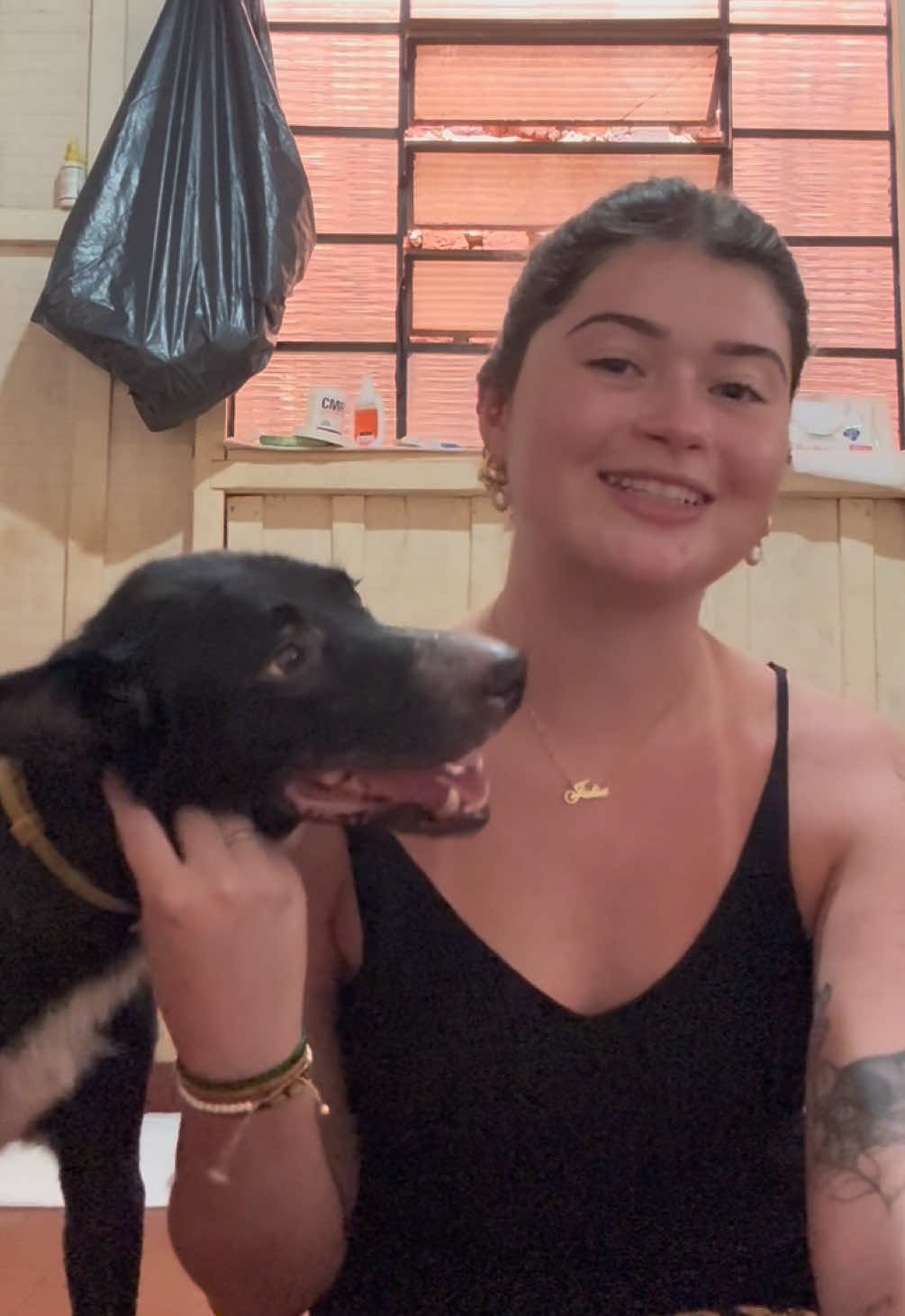 Respondendo a @Clicinhaa um pouco sobre como funciona o abrigo!  São 10 cachorros, apenas com ajuda da sociedade para mante-los.  Qualquer pergunta, façam nos comentários para continuarmos fazendo os vídeo 🥰 #abrigo #cachorro #lobinha #douradosms 
