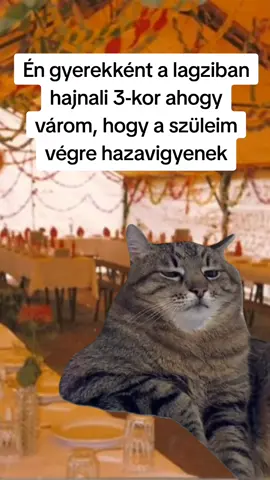 Kinek ismerős? 😁#pusztuljonforyouba #nekedbelegyen #neked #fyppp #magyartiktok #vicces #retro #retrotv #anno #emlék #nosztalgia #Meme #Capcut #MemeCut #memenatal #CapCut 