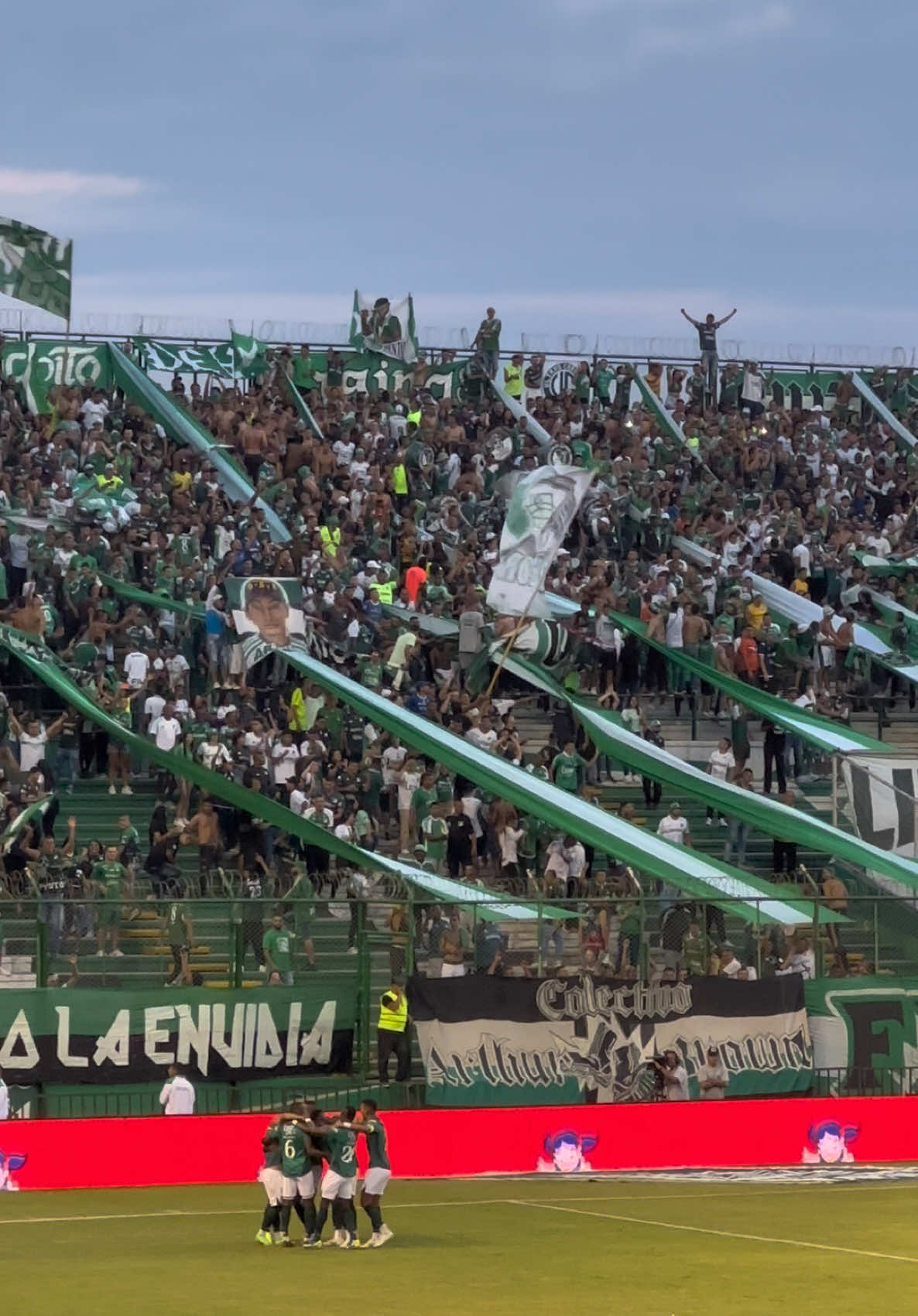 #colombia #deportivocali🇳🇬⚽ #cali #tiktok #viral 