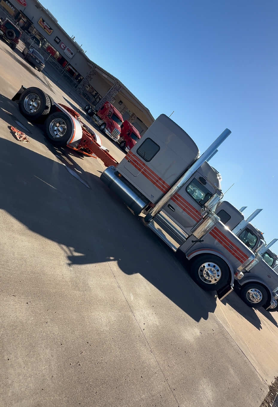 WE BACK!!!!!!!  Southern Transports New Whip?????? @Peterbilt Steve #truckshowjoe #foryourpage #fyp #massfollowingstarted #peterbilt #peterbilttrucks #peterbiltcartel #peterbiltcrazy #peterbiltgang #weback 