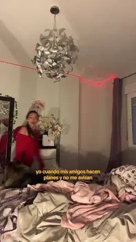el perro se ha quedado takitaki rumba