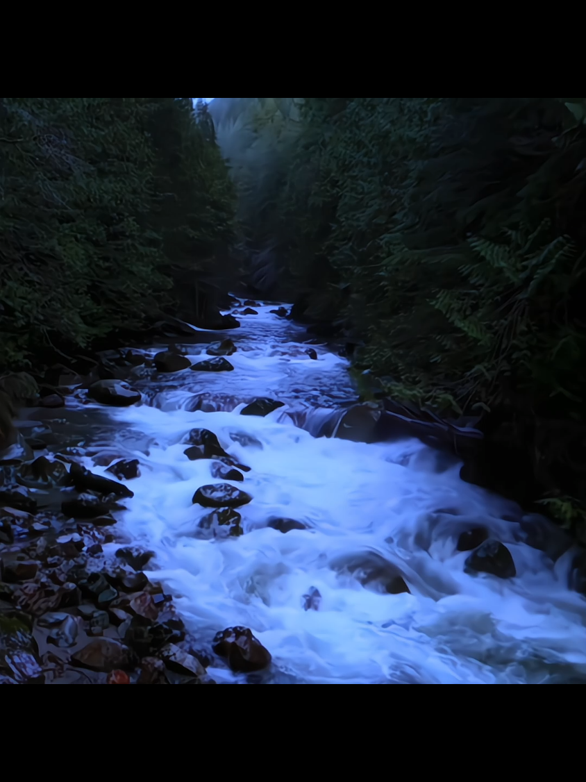 where serenity is #calm #fadinglight #darknature #waterfallhike #serenity 