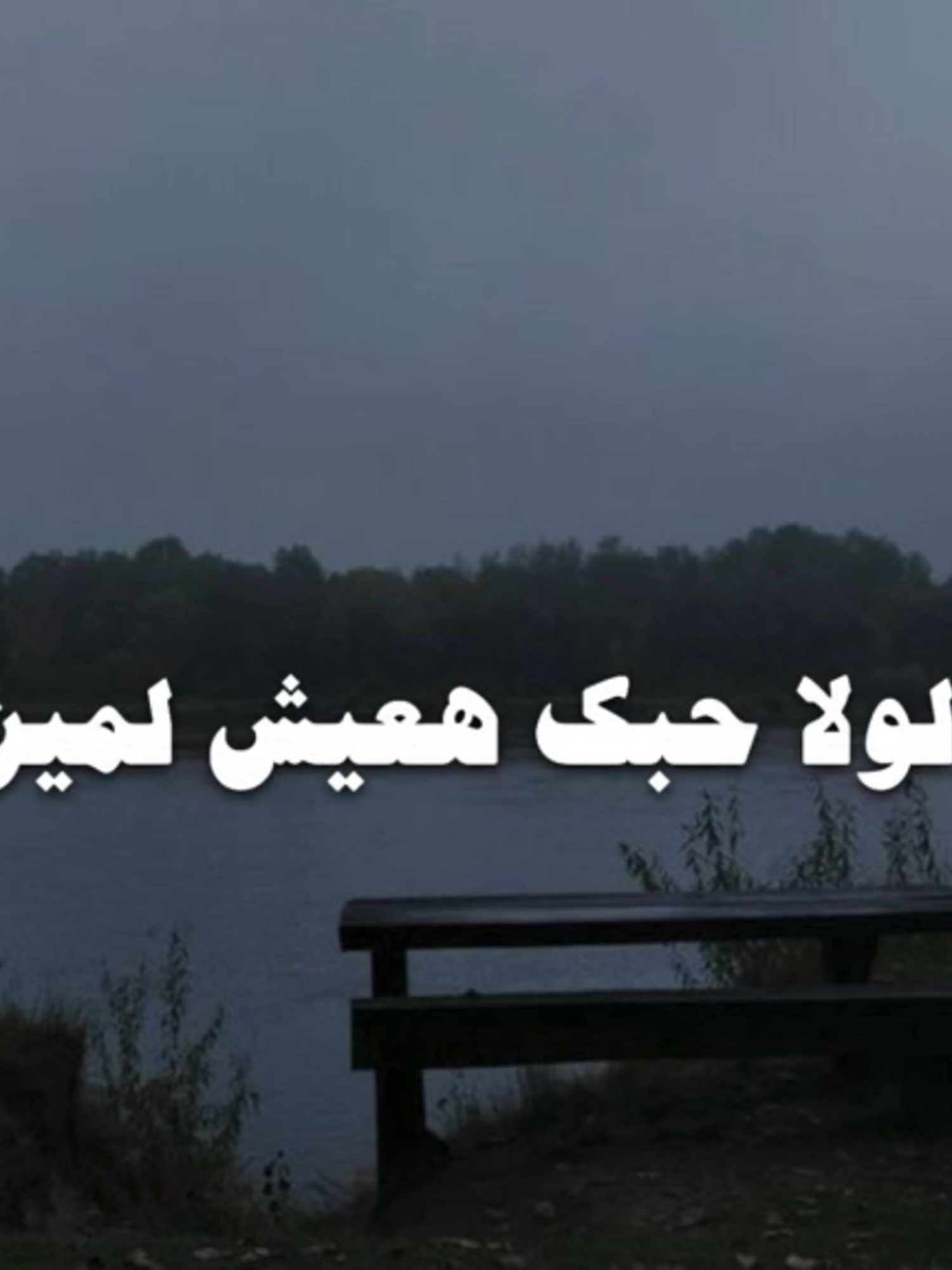 #أغاني_الزمن_الجميلأغاني بدون ذنوب   #اكسبلور #الشعب_الصيني_ماله_حل😂😂 #تريندات_تيك_توك # #تريند  #عمرودياب  #اغاني_بدون_موسيقى