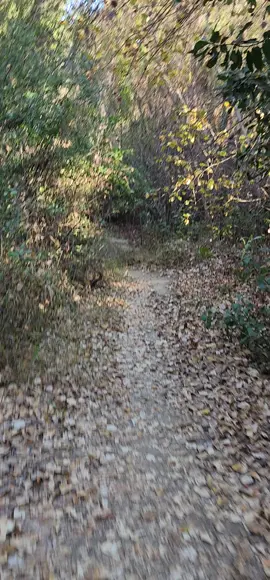 así 🌻TIK TOK🌻