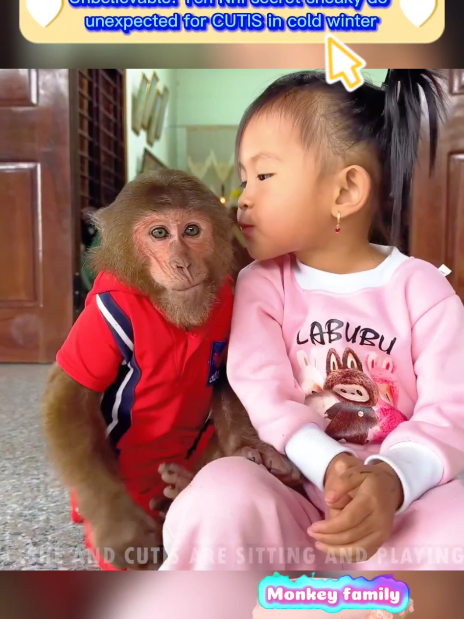 Unbelievable! Yen Nhi secret sneaky do unexpected for CUTIS in cold winter #newyork #cutemonkey #monkeys #babymonkey #pets #animals #monkey #animal #pet 