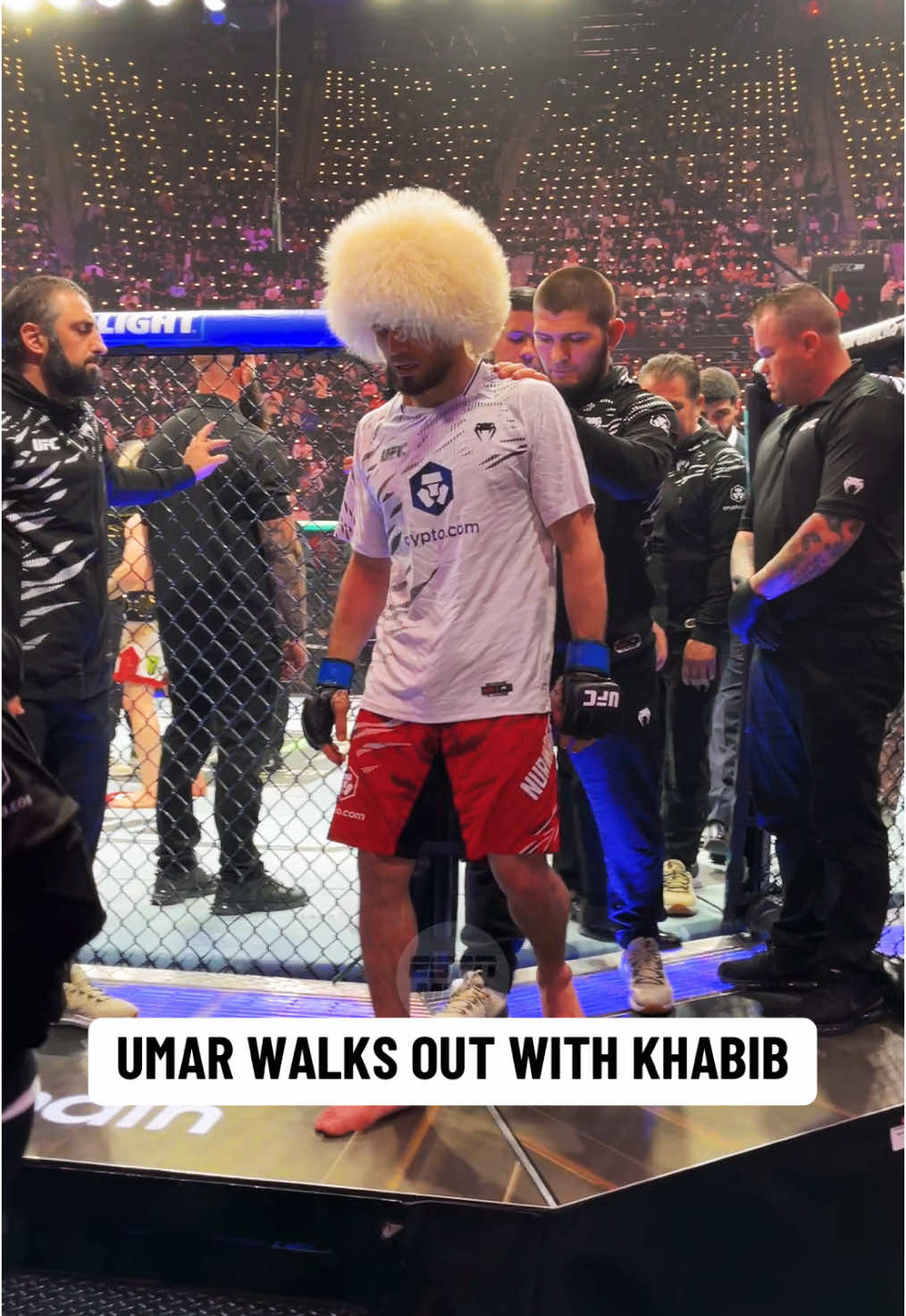 #UmarNurmagomedov #Khabib #UFC311 #UFC #combatsports 