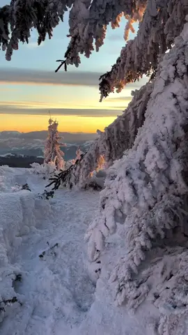 What is it that compels us to ascend? Is it the promise of transcendence, or the silent hymn of untouched wilderness? Ceahlău Mountain in winter is no mere destination—it is a realm of frostbitten grandeur, a sanctuary for the soul. Here, peaks shrouded in crystalline rime rise like the frozen spires of some primordial cathedral, their solemn majesty imbued with an almost reverential stillness. This is not a place to conquer but to surrender to—a domain where the earth itself seems to whisper ancient incantations into the frigid air. Each footfall draws you deeper into its hallowed embrace, where the unyielding beauty of nature reveals itself in stark, arresting detail. The sun, low and golden, etches ephemeral hieroglyphs onto the alabaster snow, while glacial cascades stand transfixed in a state of eternal pause. The pines, draped in frost, resemble spectral sentinels, guardians of a silence so profound it feels sacred. Ceahlău is not merely climbed; it is experienced—a communion with the sublime where every vista feels like a revelation carved from the marrow of the earth. But this mountain offers no answers; it only awakens questions. What truths lie entombed beneath its frozen veneer? What timeless wisdom drifts in the biting wind, waiting to be heard? As the sun’s amber light dwindles and shadows lengthen into the abyss, you find yourself standing at the precipice of the eternal. What will you take from this silence? And more importantly, what will you leave behind? Video by @gabrielaa.epure  [Ceahlău Mountain, Alpine Splendor, Crystalline Wilderness, Frostbitten Majesty, Sacred Landscapes, Gilded Horizons, Glacial Silhouettes, Frozen Waterfalls, Remote Solitude, Alpine Serenity, Winter Reveries, Mythical Romania, Ethereal Trails, Pristine Silence, Snowbound Majesty, High Peaks, Golden Sunlight, Ancient Mountains, Sublime Beauty, Nature’s Quietude] #romania #travel #sublimewinter #ceahlaumountain 