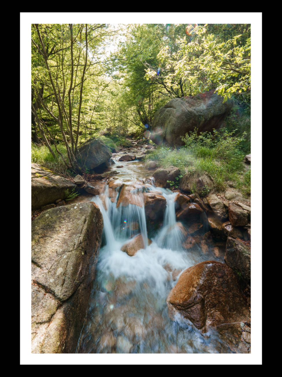 I took this photo during a hike to Monte Zughero at Lago Maggiore. Experimenting with long exposure, my #SonyA7III paired with the #SEL14F18GM turned out to be the perfect combination for capturing this charming little waterfall. I’d love to hear your thoughts—how would you rate this photo? Settings: Focal Length: 14mm Aperture: f/14.0 Shutter Speed: 1/5s ISO: 50