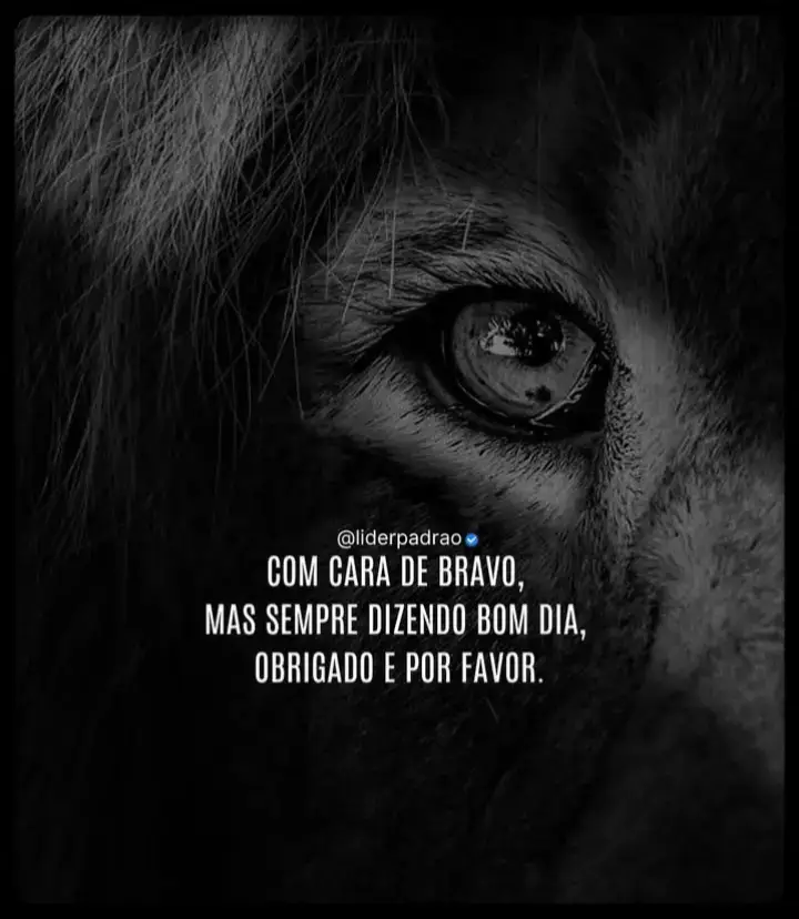 #palavradodia #frasesmotivadoras #crescimentopessoal 