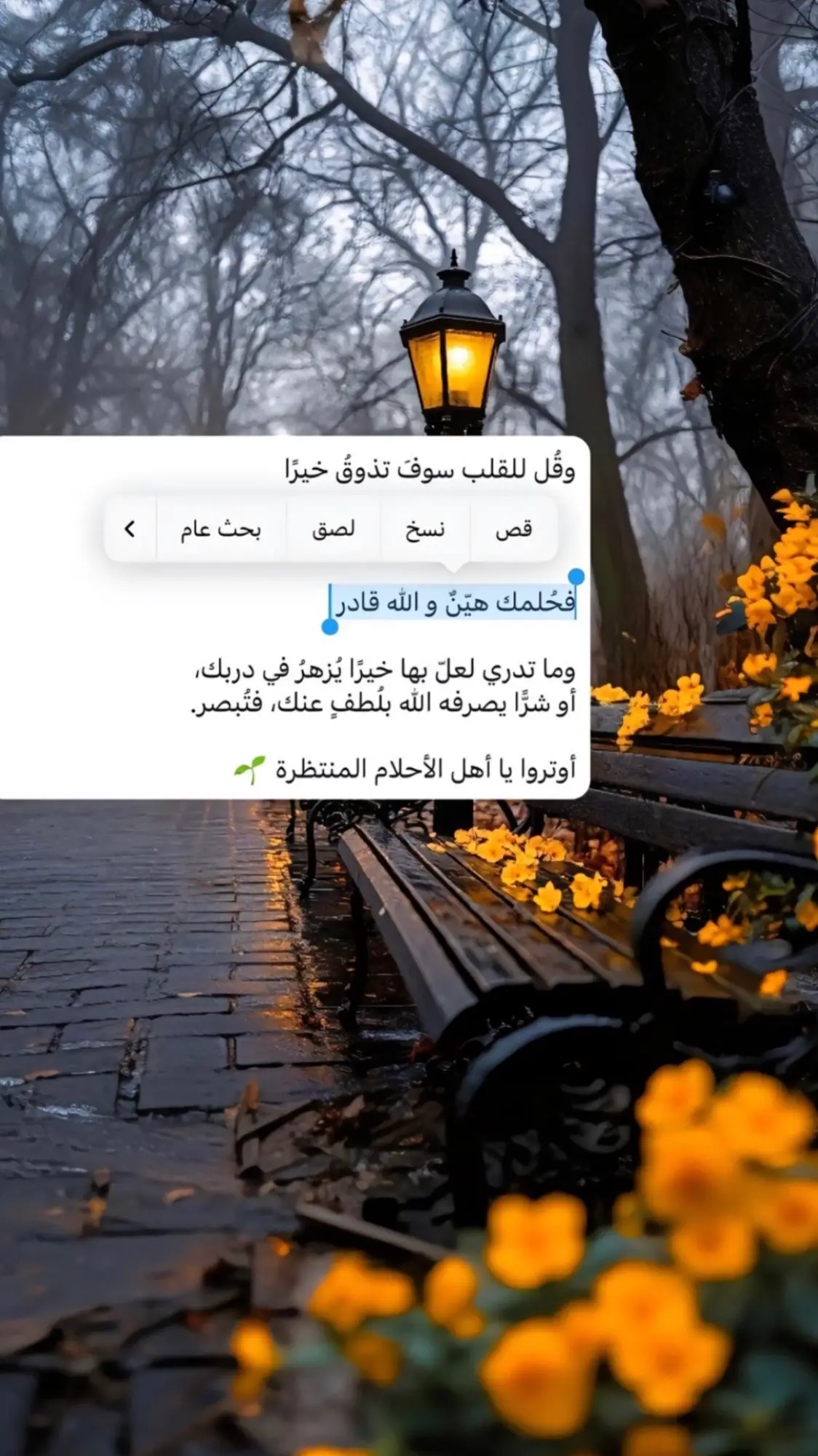 #تاج_الذكر#يارب_فوضت_امري_اليك #اذكروا_الله_يذكركم #اذناديه_ربه_فاستجبناله #اكبسلوررررر #explore #الحمدلله_دائماً_وابدا #اكسبلورexplore #fypシ #الشعب_الصيني_ماله_حل #comedia 