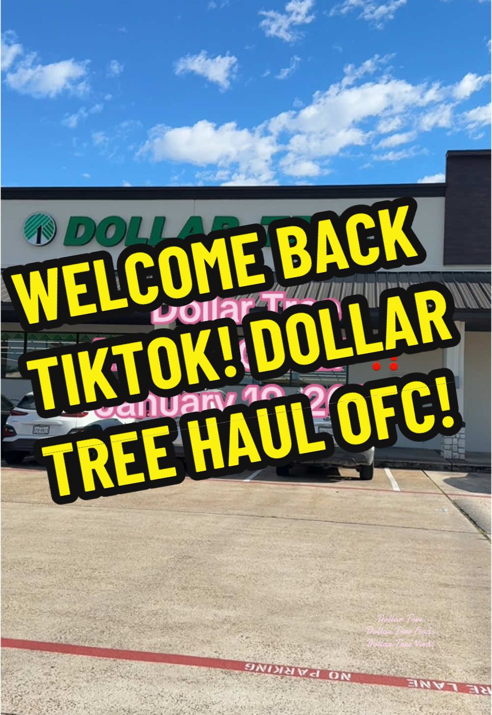 BACK IN @Dollar Tree BUSINESS!! ‼️🧚 ##dollartreefinds##dollartreehaul##dollartreebeauty##dollartreemusthaves##dollartreeshopping##shopwithme##bargainshopper##bargain