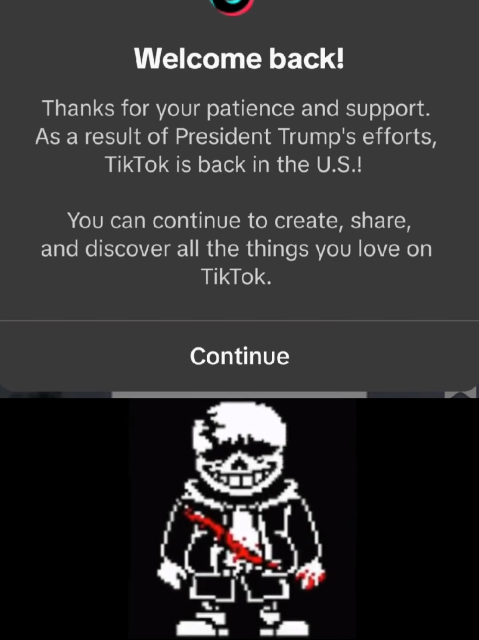 TikTok is back in America 🎉 #undertale #sans 