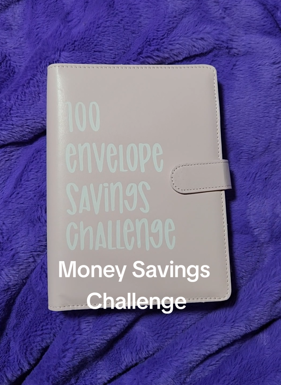 This money savings challenge Binder will give you the motivation to save #saving  #savingmoney  #savingschallenge  #moneytips  #tiktokmademebuyit 