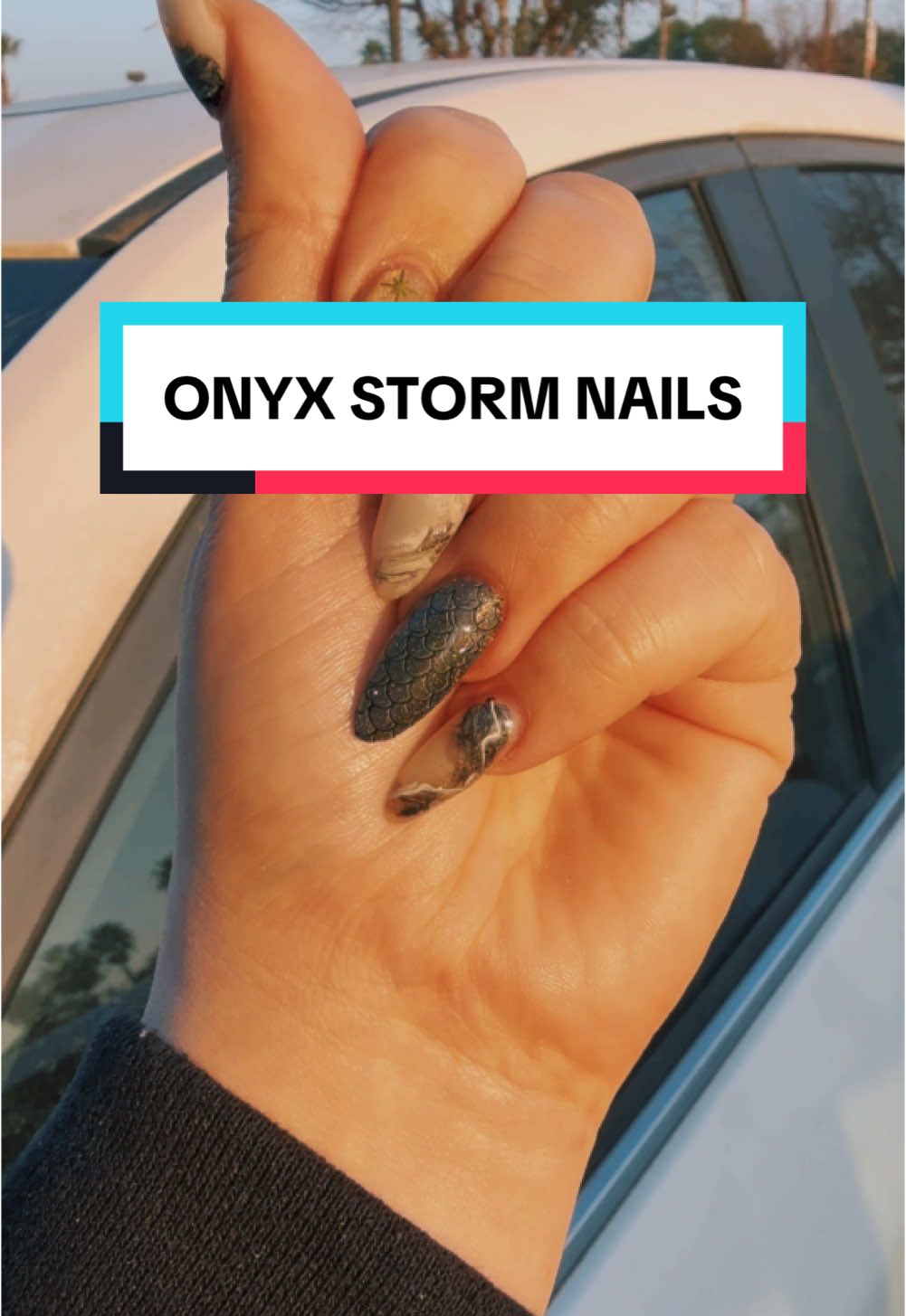 Onyx storm nails 🖤✨🖤✨ #BookTok #booktoker #booktokfyp #booktokforever #booktokbestie #fourthwing #ironflame #onyxstorm #rebeccayarros @Rebecca Yarros @Red Tower Books 