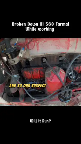 Will It Run IH 560 Falmal Broken Down While working?#restoration #willitrun #recovery #old #engine #tractor #repair #truck #tiktok #fyp 
