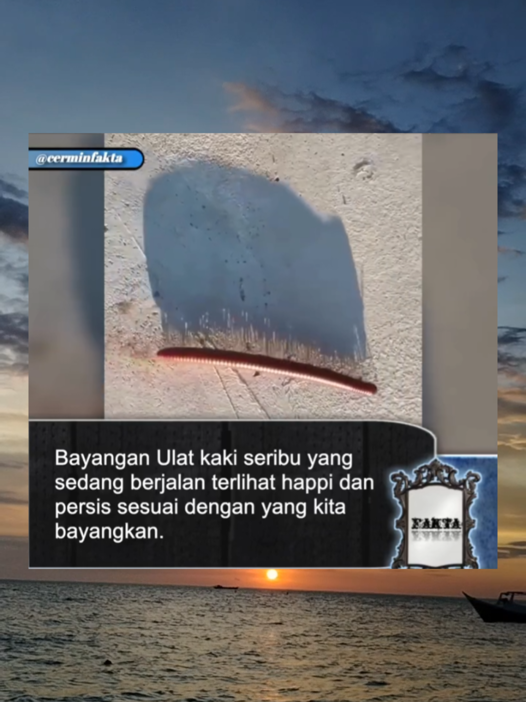 Ulat kaki seribu ini berjalan di darat dengan mengkoordinasikan banyak kakinya, tetapi ketika dimasukkan ke dalam air, lipan melipat kakinya dan berenang dengan menekuk batang tubuh yang mirip dengan belut. #fypage #abcxyz #kakiseribu #ulatbulu #fenomenaalam #ulatkakiseribu 