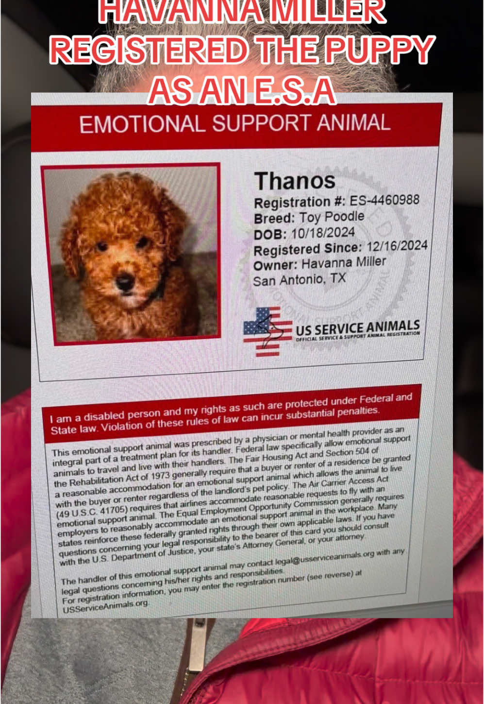 HAVANNA MILLER registered her dog, Thanos, a three month old poodle, as her emotional support animal.  @TexanPeachx continues to dig on the story and has also found the arrest warrant affidavit.  PLUS - apparently a concern Neighbor had called the police before and they came out and did a welfare check and she claims they did nothing that time. Stay tuned for more. #dog #dogs #dogsoftiktok #havannamiller #emotionalsupportanimal #esa #fyp 