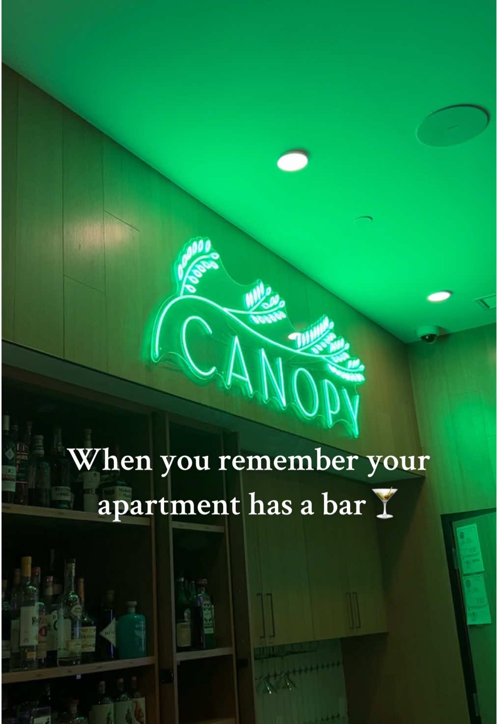 Not high school musical being on #tiktokban #apartment #bar #homesweethome #housetour 