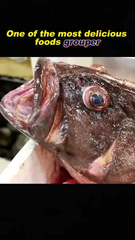 Grouper #food #tiktok #delicious #grouper 