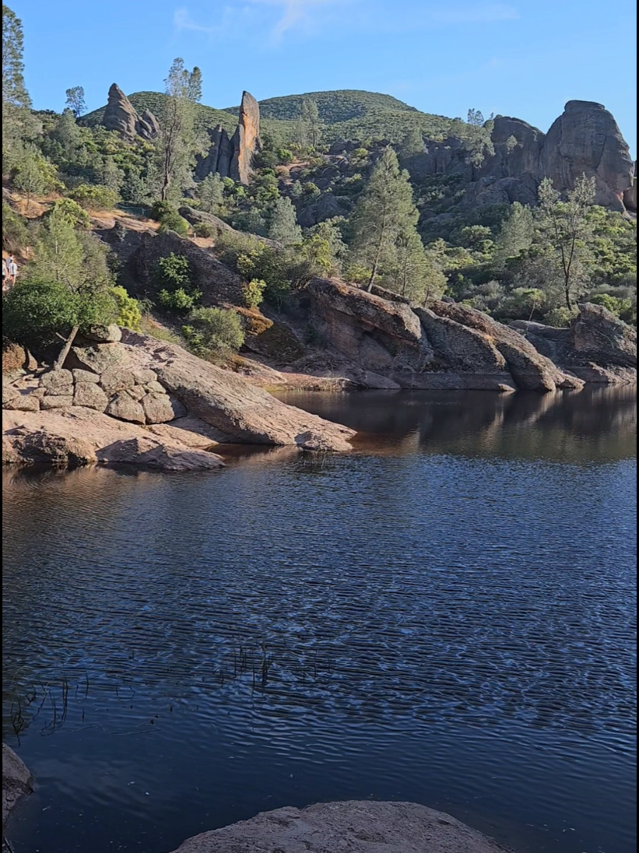 Pinnacles National Park en California es un excelente lugar para visitar este 2025. #pinnacles #pinnaclesnationalpark #nationalpark ##californiaadventure #elviajedekarla #Viral #adventure #socal #thingstodo #hiddengems #californiatrip #californiaplaces #californiatravel #travelife #losangeles #placestogo #friends #california #family #friendship #vacation #vacaciones #travelvlog #travelblogger #traveltips #californiatravel #PlacesToVisit #thingstodo #visit #parati #travelusa #traveltok #places #spring 