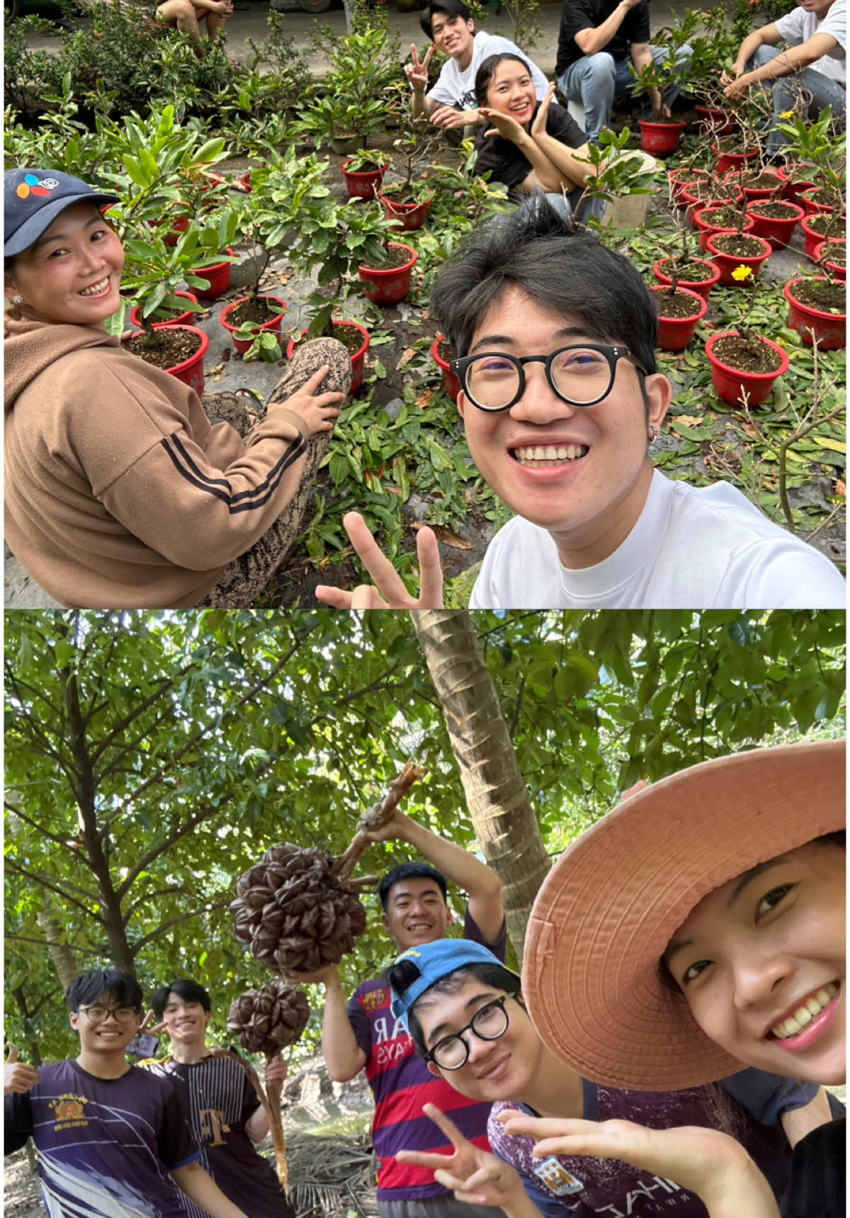 Ben Tre trip #xuhuongtiktok #travel #mientay #fypシ 