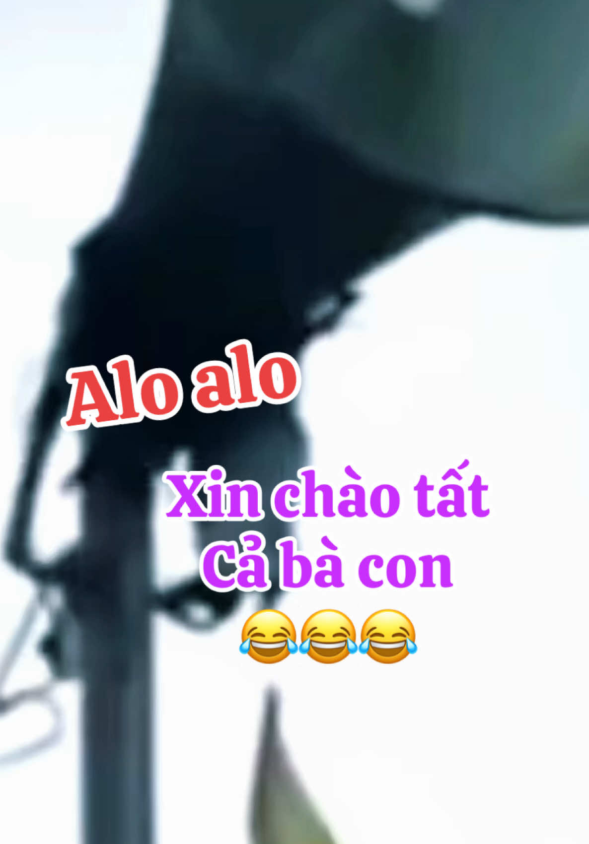 Alo alo xin chào tất cả bà con 😂😂😂