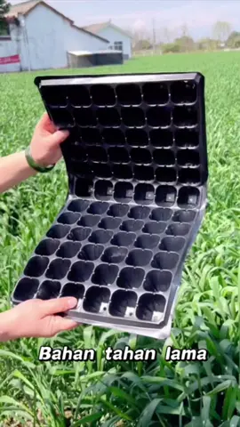Musim semi adalah waktu yang tepat untuk menanam bibit🪴🪴#semi #seedling #seedlingtray #nampan #bunga #bibit #handmade #funny #tiktok #indonesia 