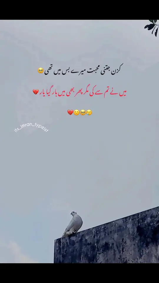 #foryoupage #sadstory #fypシ゚ #imran_writes6 #1milion #viewsproblem #views #kazanpoetry #urdupoetry 