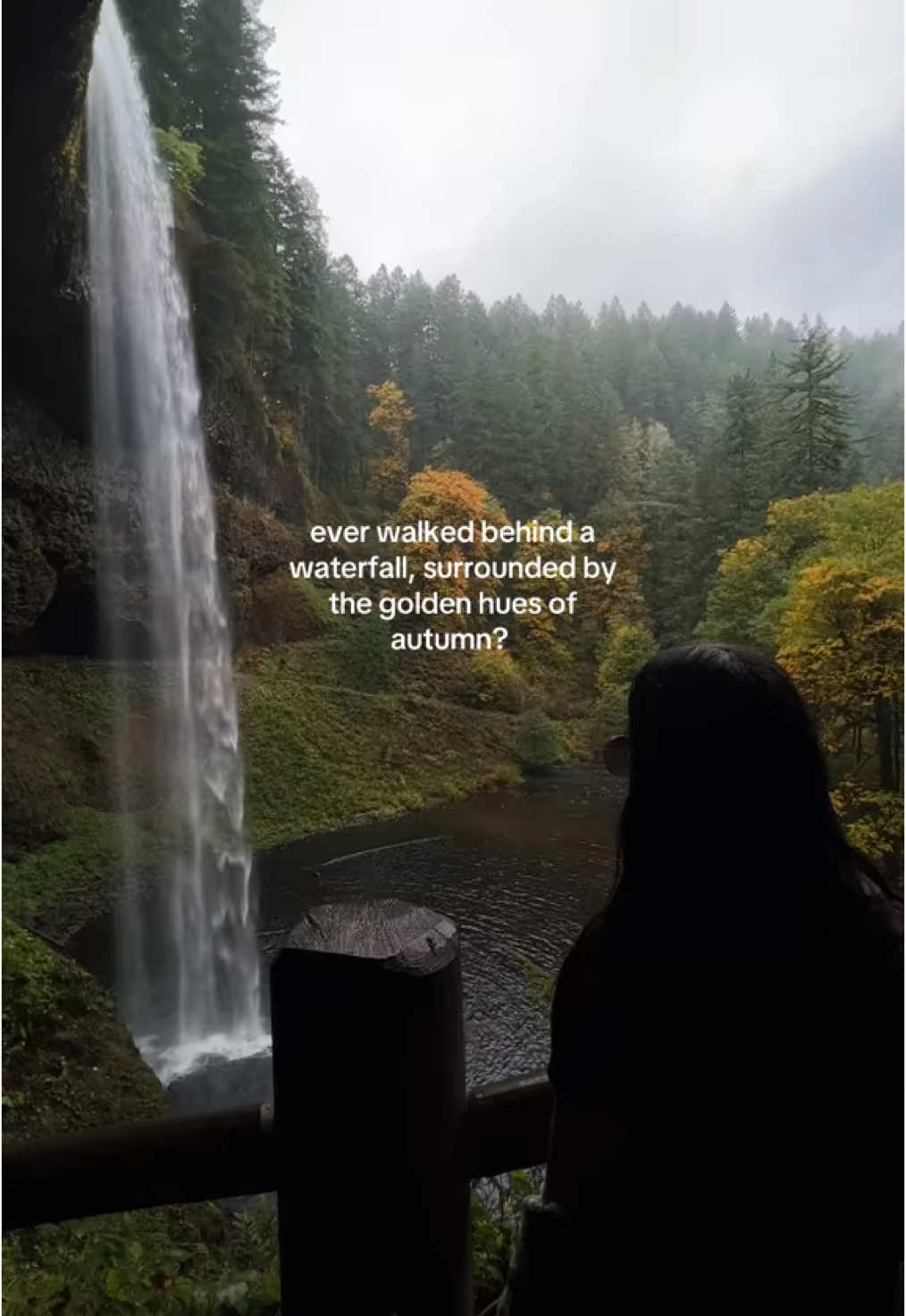 one of the most beautiful trails you’ll ever walk #oregon #trailof10falls #naturetok 