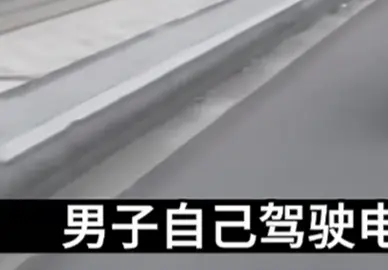 ⚡乖狗狗有什么坏心思呢？#必看 
