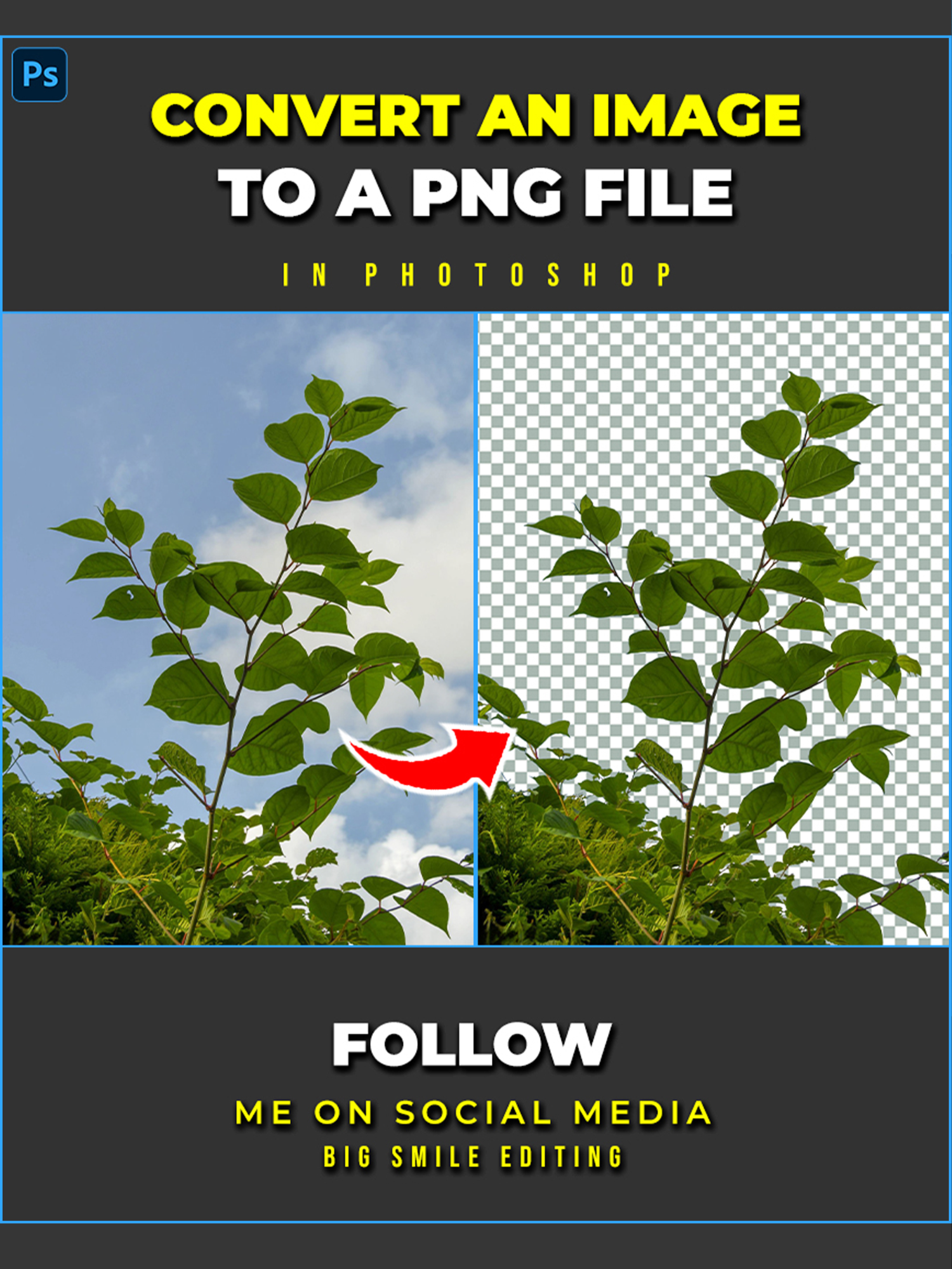 How to remove complicated background and convert it to a png file in Adobe Photoshop #photoshoptricks #tutorials #designer #tutorial #photoshop #photography #adobe #adobephotoshop #bigsmileediting