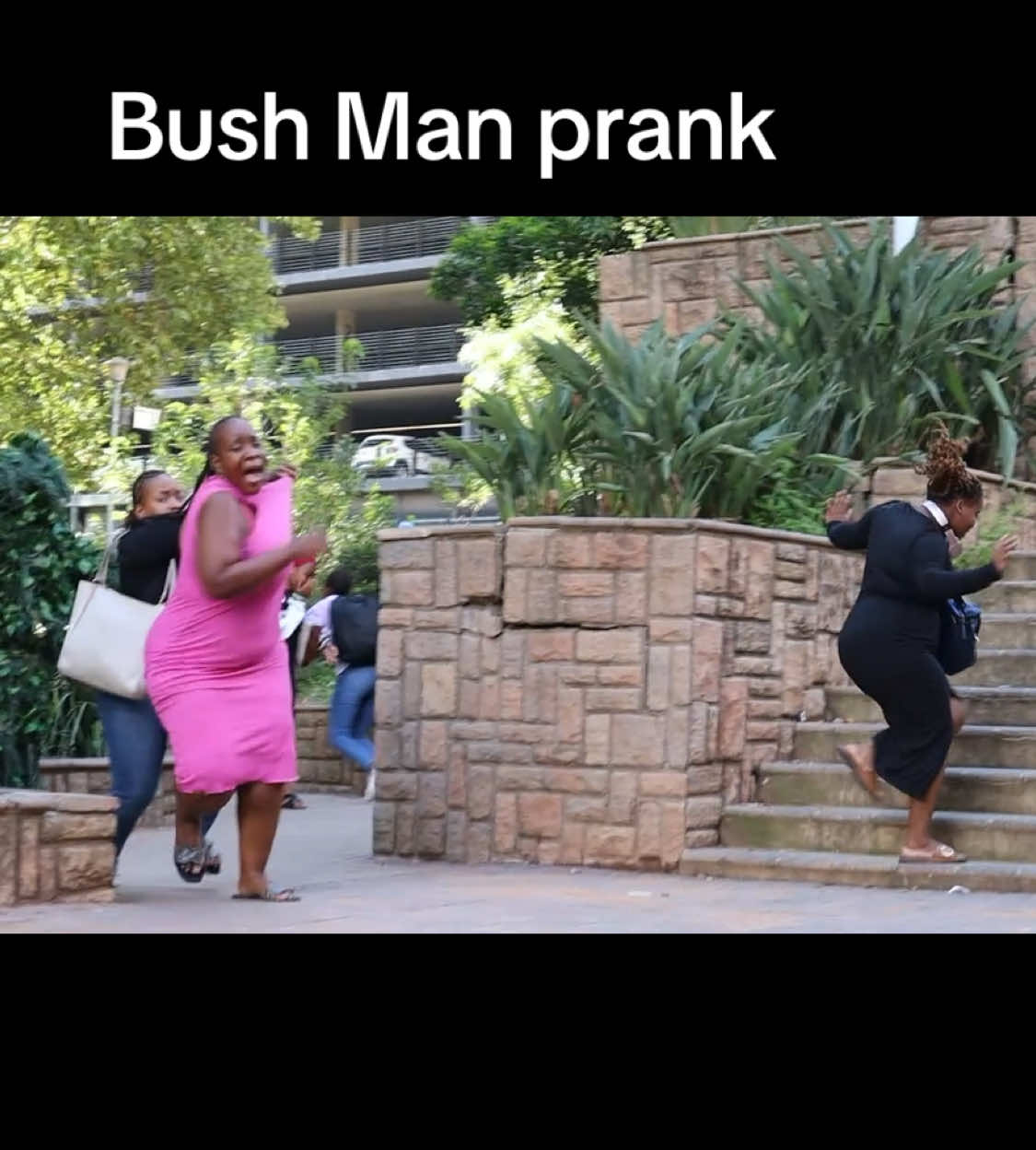 Sanbonan ekse hoi moja it’s happy new year 🥳 aykhale manje Bush Man Prank full video on YT if you haven’t kindly subscribe ✌️ #SAMA28 #fyp #viral #comedyvideo #southafrica #jozi #jozitiktok #funnyvideos #funnyvideos #prank #vypシ #viralvideo #aviral #funny #funnyvideo @Mr make things happen 