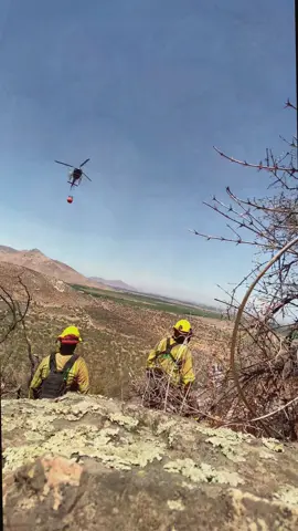 #fireseason #lafire #wildfire #bomberos #pompiers #fireman #californiafire #lawildfires #fireworks #trending 