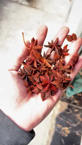 Hoa hồi khô hàng loại 1 nguyên cánh đẹp, không vụn không vỡ.