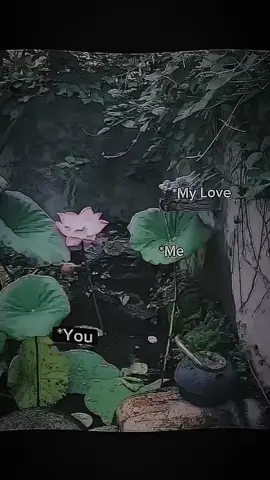 My love for you always forever🫶@Khant ko 🇲🇲🇲🇾 #မင်ရဲ့ချစ်မဝလေးဖစ်ချင်ယို့🌚💗 #crdvideo 