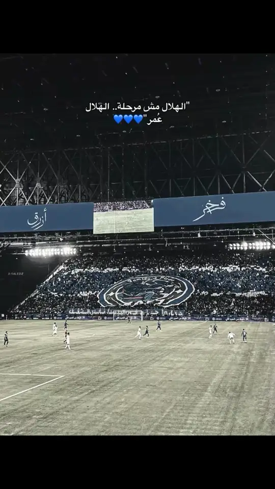 #الكوول_لعبتي #الهلال💙💙💙اكسبلور #كويلار_مهوس_فيني🤍🔥🇨🇴🤦 #الهلال💙💙💙 #الهلال_العالمي💙🤙 #الرقيب__سافيتش🇷🇸 #الهلالللل💙💙💙💙💙💙 #الهلال💙💙💙اكسبلو #كويلار_قطاع_الطرق🇨🇴💙 #كويلار_مرجله 