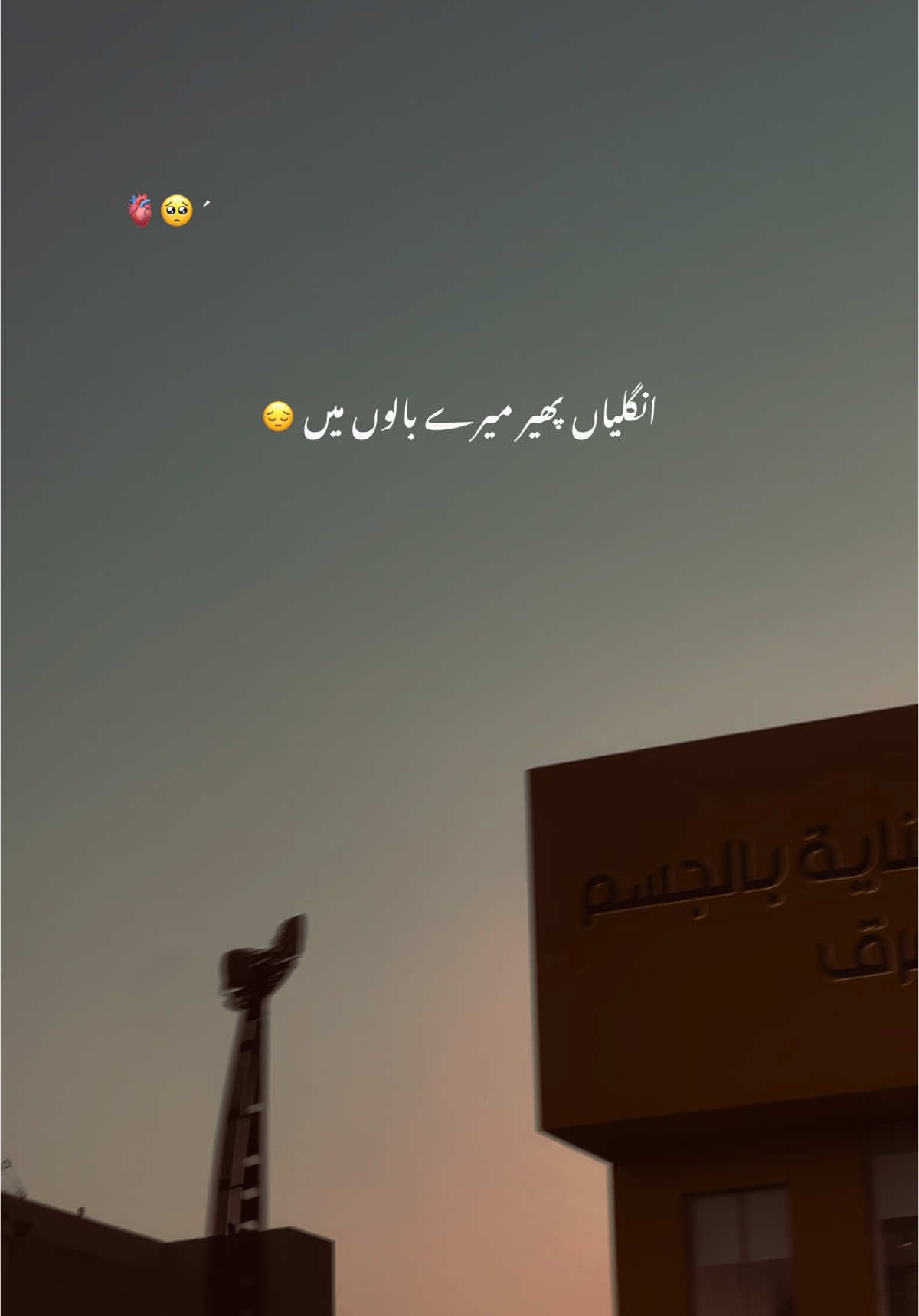 میرا دردِ سر نہیں جاتا 💖 💔😭 #foryoupage #foryou #trending #poetrystatus #grow #usa_tiktok🇺🇸🥰 #Usa  #account #aesthetic #feroz_vibes1